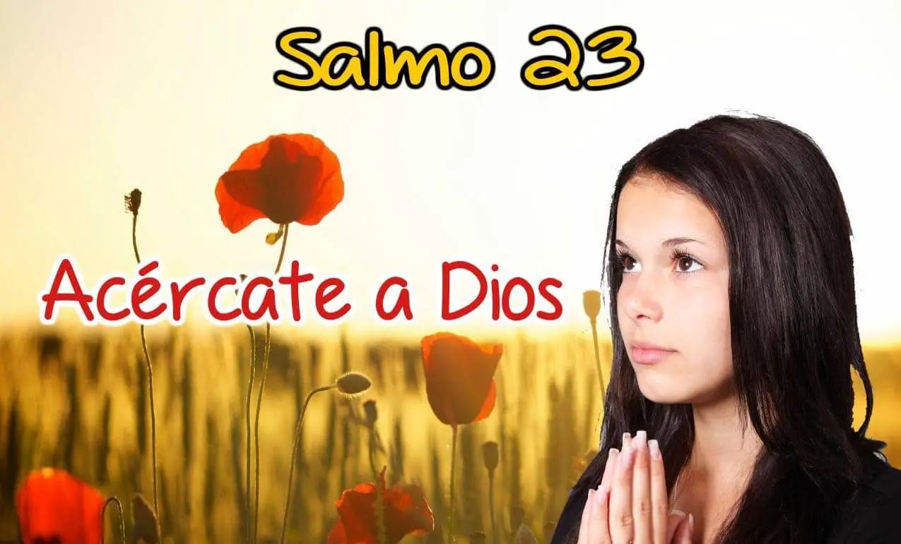 salmo 23 de la biblia catolica
