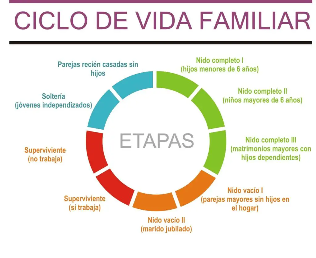 El Ciclo Vital De La Familia Y Sus Partes Conoce MÁs AquÍ 0571